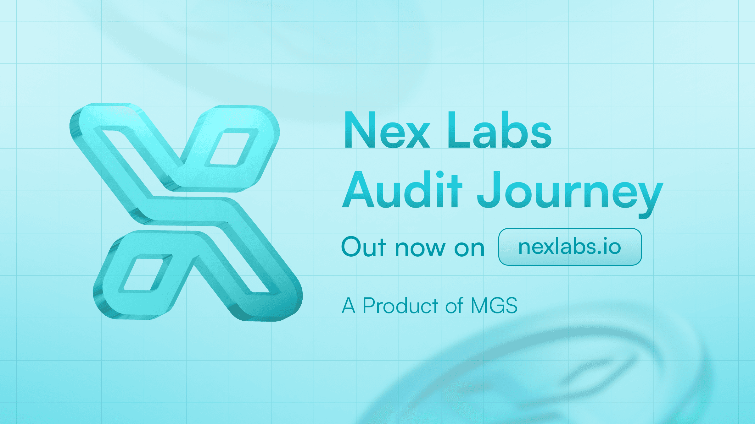 Nex Labs Audit Journey